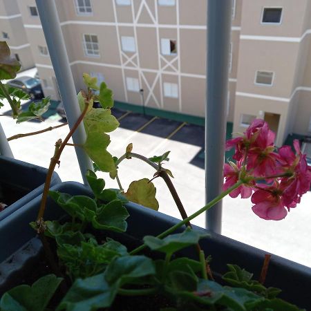 Apto nas montanhas Campos do Jordão Exterior foto