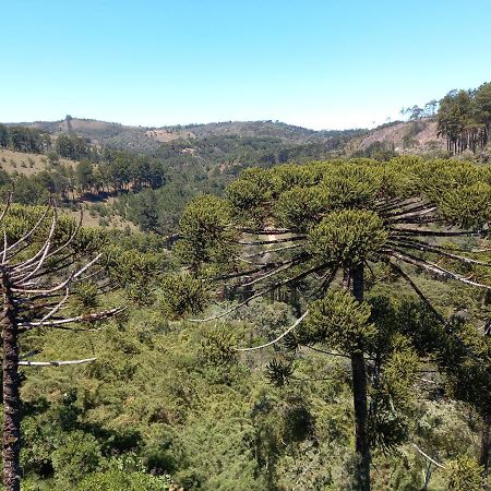 Apto nas montanhas Campos do Jordão Exterior foto
