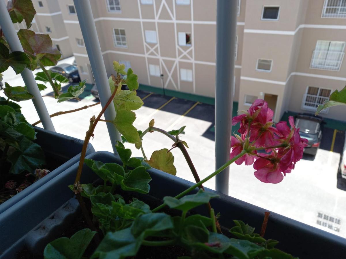 Apto nas montanhas Campos do Jordão Exterior foto