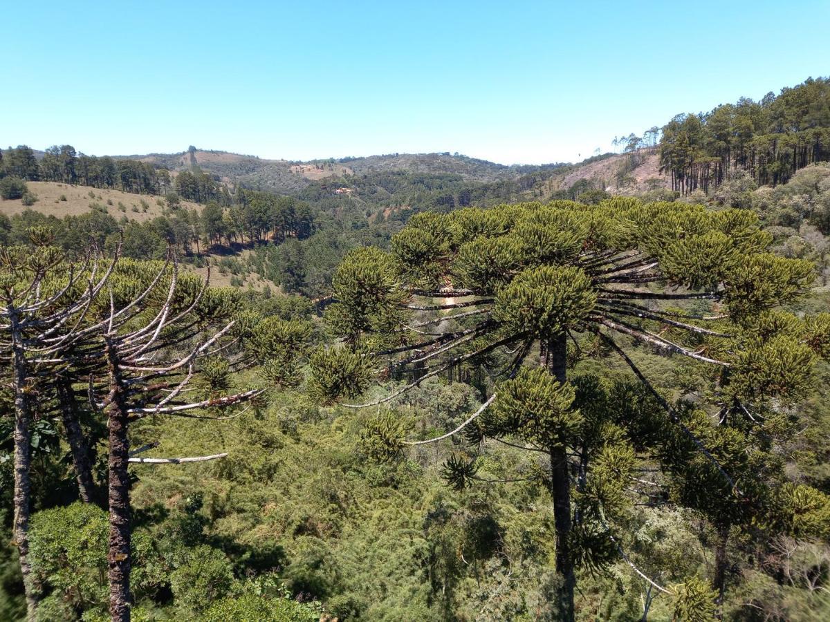 Apto nas montanhas Campos do Jordão Exterior foto